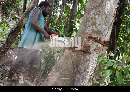 East New Britain Insel, Papua-Neu-Guinea, Montag, 22. September 2008 anmelden. Stockfoto