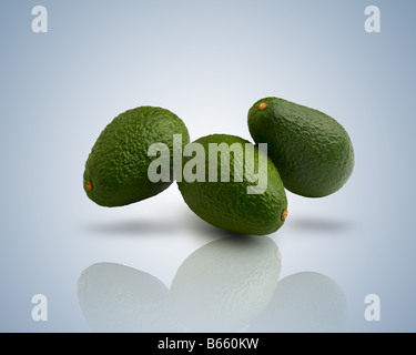 Avocados über bläulichen Hintergrund Stockfoto