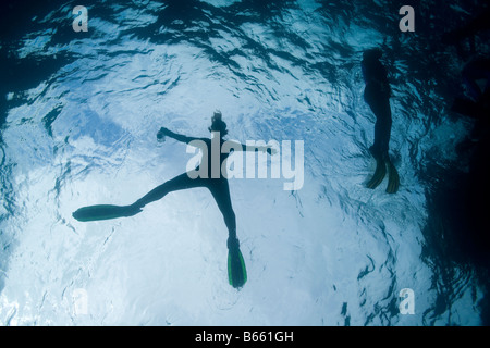 Ecuador Galapagos-Inseln Darwin Insel Unterwasserblick jungen Frau Schnorcheln an der Meeresoberfläche Stockfoto