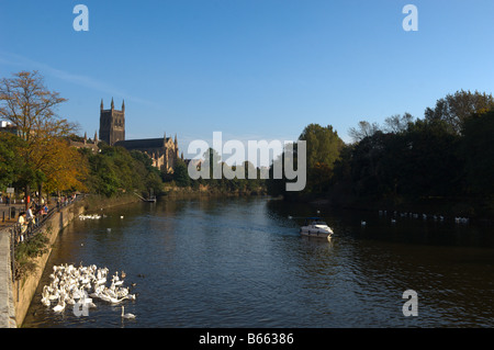 Ansicht des Flusses Severn in Richtung Worcester Kathedrale, Worcester, UK. Stockfoto