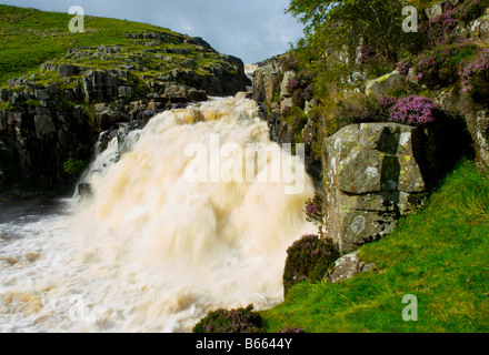 Kessel-Schnauze-Wasserfall im Flut, Teesdale, County Durham, England UK Stockfoto