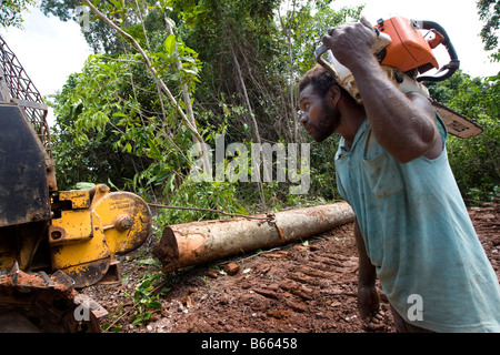 East New Britain Insel, Papua-Neu-Guinea, Montag, 22. September 2008 anmelden. Stockfoto