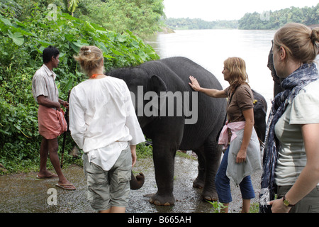 Erstaunt ausländische Touristen beobachten Elefanten wird geschrubbt und badete Periyar Fluß Bank in Kodanad, Kerala, Indien Stockfoto