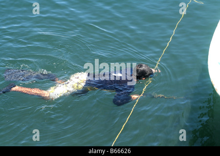 Mann mit einer Maske und einer Harpune Fischen schwimmen Stockfoto