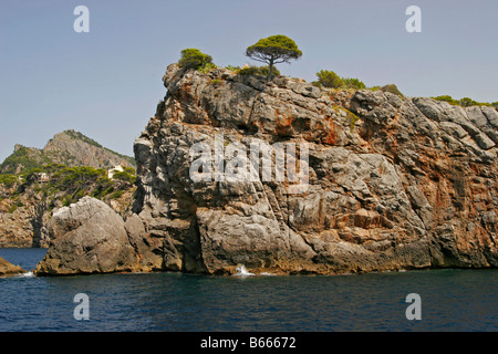 Mallorca Insel Meer Meer Urlaub Landschaft Baum grün schöne schöne, entspannende relax Mediteran Mitte Meer Middlesea Spanien Spanien Stockfoto