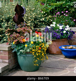 Container mit gemischte Pflanzung auf einer Terrasse im Garten Stockfoto