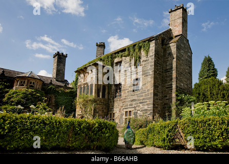 Pfau Gwydir Schloss und Garten Romanum Nord-Wales Stockfoto