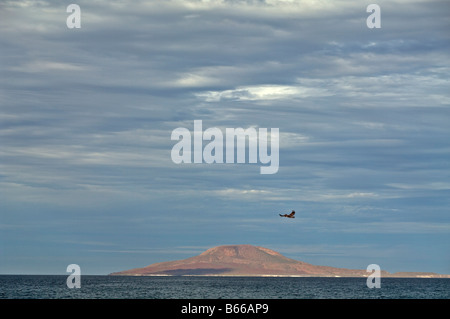 Isla Coronado, Baja California, Mexiko Stockfoto