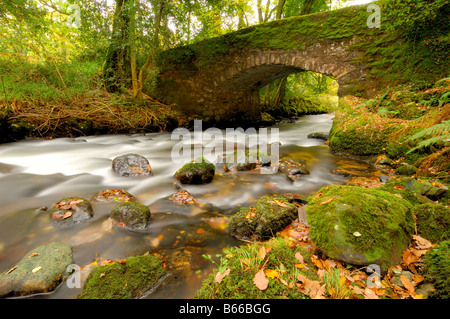 Eine herbstliche Szene rund um den Fluss Webburn an Buckland Brücke wo es East Dart River auf Dartmoor Devon verbindet Stockfoto