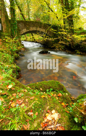 Eine herbstliche Szene rund um den Fluss Webburn an Buckland Brücke wo es East Dart River auf Dartmoor Devon verbindet Stockfoto