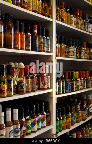 Heiße Soße Flaschen auf der Wand, die Chili-Patch, Altstadt, Albuquerque, New Mexico. Stockfoto