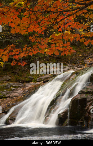 Mary Ann fällt im Herbst Cape Breton Highlands National Park Nova Scotia Kanada Stockfoto