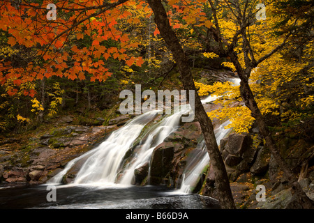 Mary Ann fällt im Herbst Cape Breton Highlands National Park Nova Scotia Kanada Stockfoto