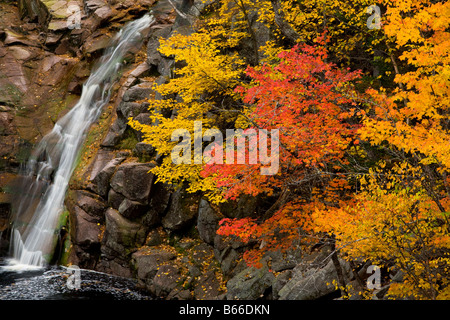 Mary Ann fällt im Herbst Cape Breton Highlands National Park Nova Scotia Kanada Stockfoto