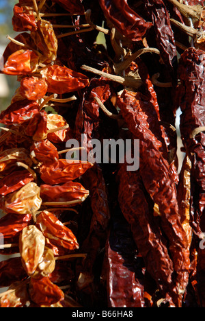 Strings von getrockneten roten Chilischoten zu verkaufen, in der Nähe von Guadalest, Vall de Guadalest, Comunidad Valenciana, Provinz Alicante, Spanien Stockfoto