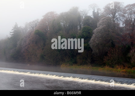 Einfrieren von Nebel hüllt Bäume mit Frost am Wehr am Fluss Boyne bei Kells Grafschaft Meath ireland Stockfoto