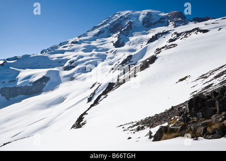 Südseite des Mt Rainier in Mt Rainier Nationalpark zeigt der Nisqually Gletscher und die Muir Schneefeld Stockfoto