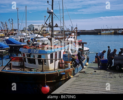 1632 Kilmore Quay Co Wexford Republik von Irland Stockfoto