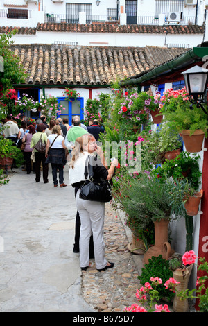 Besucher Los Patios Festival, nahme Festival Cordoba Spanien Stockfoto