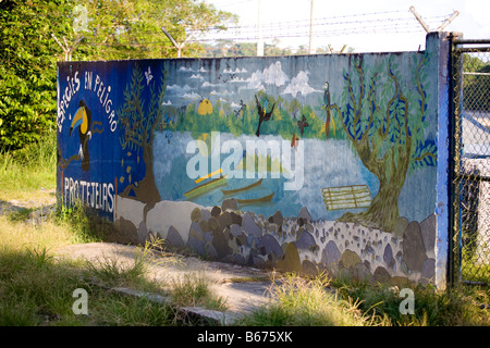 Natur-Schutz-Motto in Ecuador Amazonien. Spanisch auf wall.green Wald Tiere horizontale 70965 Ecuador Amazonie gemalt Stockfoto