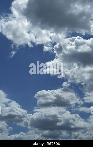 Geschwollene weißen Cumulus-Wolken gegen strahlend blauen Himmel vertikal Stockfoto