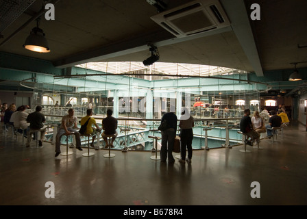 Gravity Bar, The Guinness Storehouse in Dublin, Irland Stockfoto