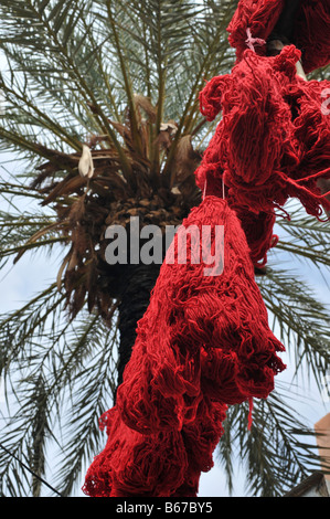 Bunte Wolle in Marrakesch Marokko Nordafrika Trocknen aufhängen Stockfoto