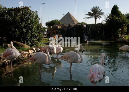 Der Blick auf den Teich und die große Pyramide von der Vorderseite des Le Meridien Pyramids Hotel in Kairo, Ägypten Stockfoto