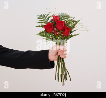 Mannes Hand mit Strauß roter Rosen Stockfoto