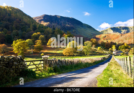 Spur führt zu Glencoyne Farm in der Nähe Ullswater im Lake District Cumbria England UK Stockfoto