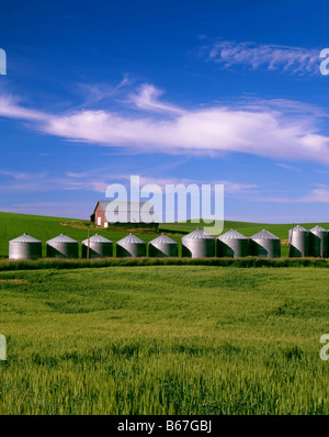 WASHINGTON-Scheune und Getreide Silos im fruchtbaren Palouse Bereich Eastern Washington Stockfoto