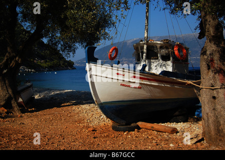 Griechischen Fischerboot am Ufer zwischen zwei reifen Olivenbäumen. Stockfoto