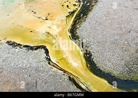 Ablauf einer heißen Quelle mit Algen und Bakterien. Stockfoto