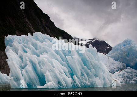 USA Alaska Tongass National Forest Tracy Arm Furten Terror Wildnis tief blaue Eisberge schwimmen in der Nähe von South Sawyer Gletscher Stockfoto