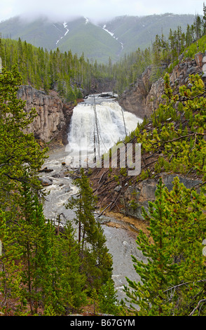 Vollständige Ansicht des Gibbon verliebt Morgennebel im Yellowstone National Park. Stockfoto