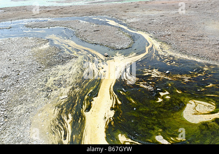 Ablauf einer heißen Quelle mit Algen und Bakterien. Stockfoto