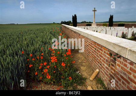 Mohnblumen Friedhöfe Rancourt Somme Battlefields CWGC WW1 Opfer mutigen erinnern Erinnerung Ehre Stockfoto