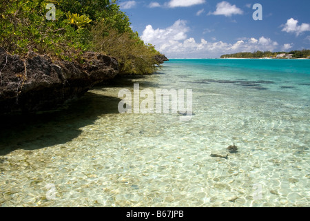 Blick auf Ile Aux Aigrettes Natur behalten, Korallenriff und türkisfarbenen Meer und Ponte d ' Esny mit blauem Himmel, Mauritius. Stockfoto