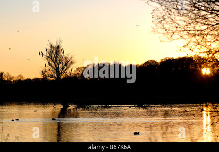 Ravensthorpe Stausee bei Sonnenuntergang im Winter, Northamptonshire, England, UK Stockfoto