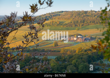 Blick vom "Box Hill'of Denbies Weinberg Weingut Dorking Surrey Herbstfärbung Stockfoto