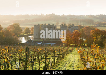 Bodium Burg und Herbst Weinberg East Sussex November Stockfoto