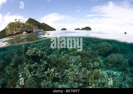 Seichten Korallenriff Raja Ampat West Papua Indonesien Stockfoto
