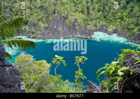 Tauchsafari zwischen Kalkstein Inseln Misool Raja Ampat West Papua Indonesien Stockfoto