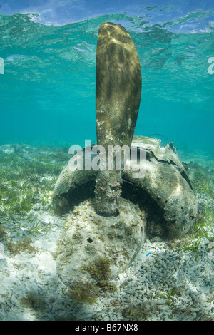 Japanische Zeke Jagdflugzeug in Mikronesien Pazifik Palau Lagune Stockfoto