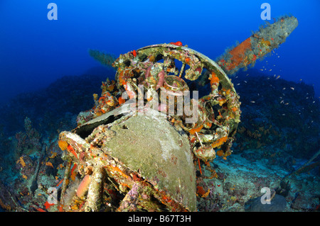 Italienischen drei-engined Bomber Savoia Marchetti S M 79 I Sparviero Kas fliegende Fische Riff Mittelmeer Türkei Stockfoto