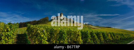 Burg Lichtenberg mit Weinbergen, Oberstenfeld, Baden-Württemberg, Deutschland Stockfoto