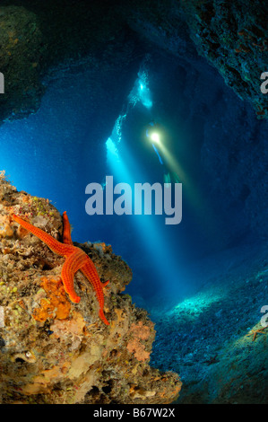 Seestern in Höhle Insel Vis Mittelmeer Kroatien Stockfoto