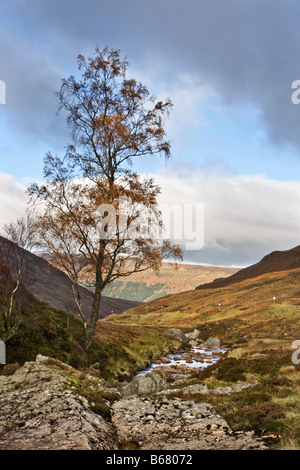 Gebirgsbach, Glen Lyon, Schottland Stockfoto