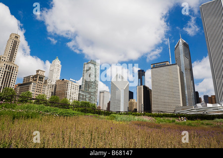 Skyline, Chicago, Illinois, USA Stockfoto