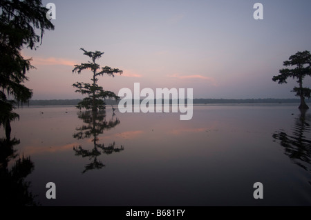 Lake Martin in der Abenddämmerung, Lafayette, Louisiana, USA Stockfoto